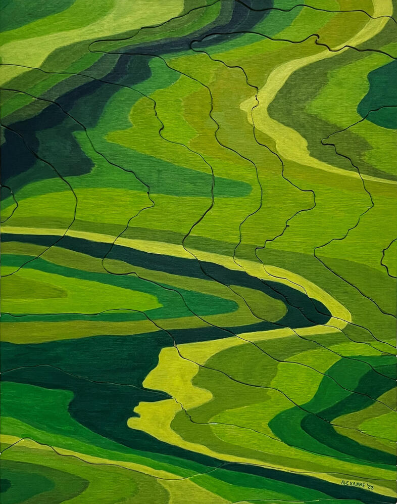 Stealth, 11''x14'', 2025, Acrylic and cut plywood on wood panel, 150$