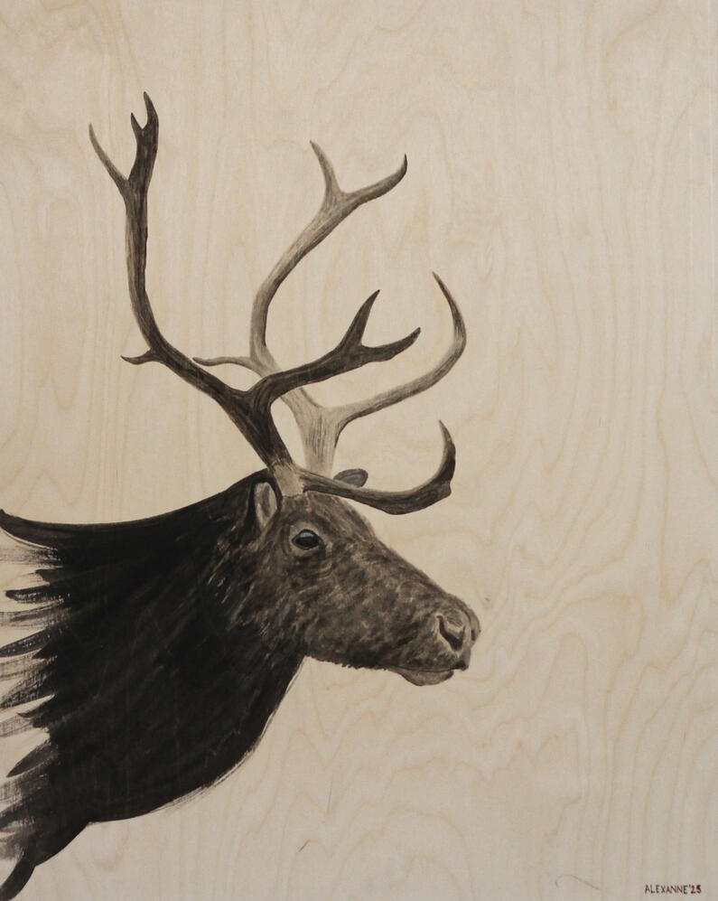 Paul the Caribou, 24"x36", 2025, India ink on gallery wood panel, 550$