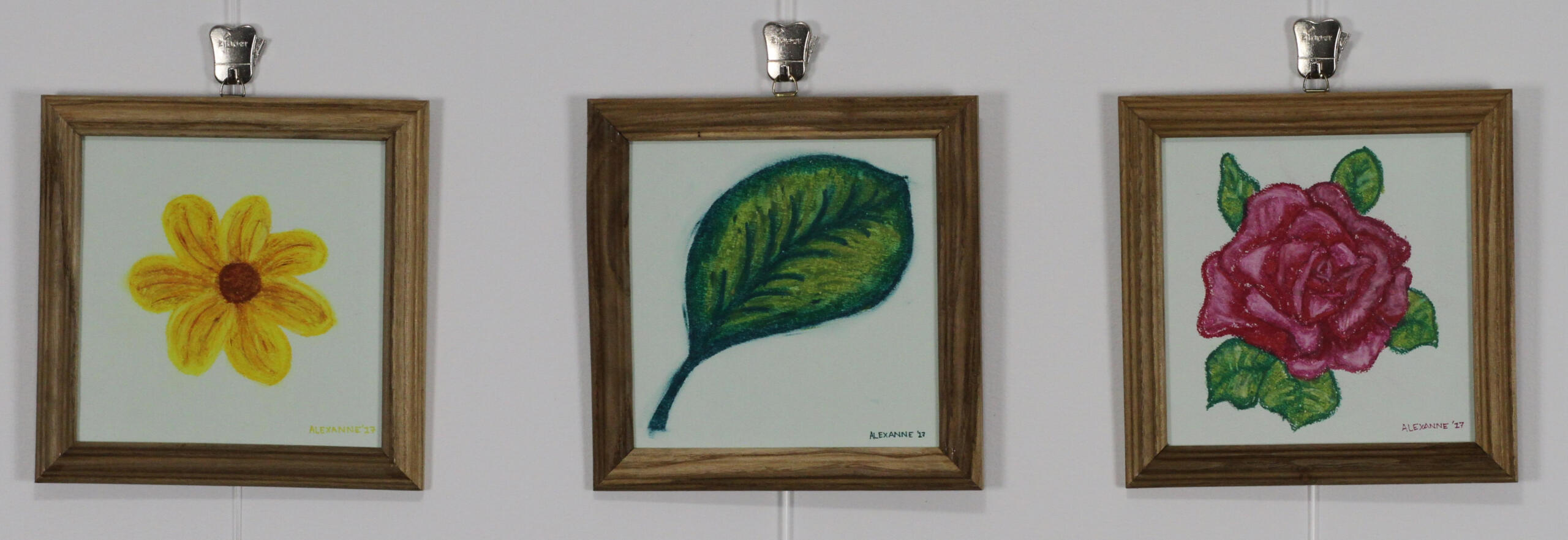 Garden, 4x 8"x8", 2017, Oil pastel on paper, 75$ framed without glass