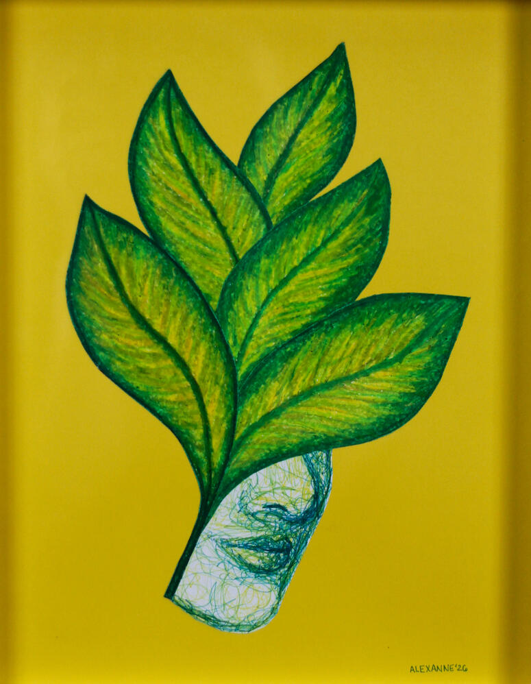 Masqued, 11"x14", 2026, Sharpie and oil pastel on paper, 150$ framed or 140$ not framed
